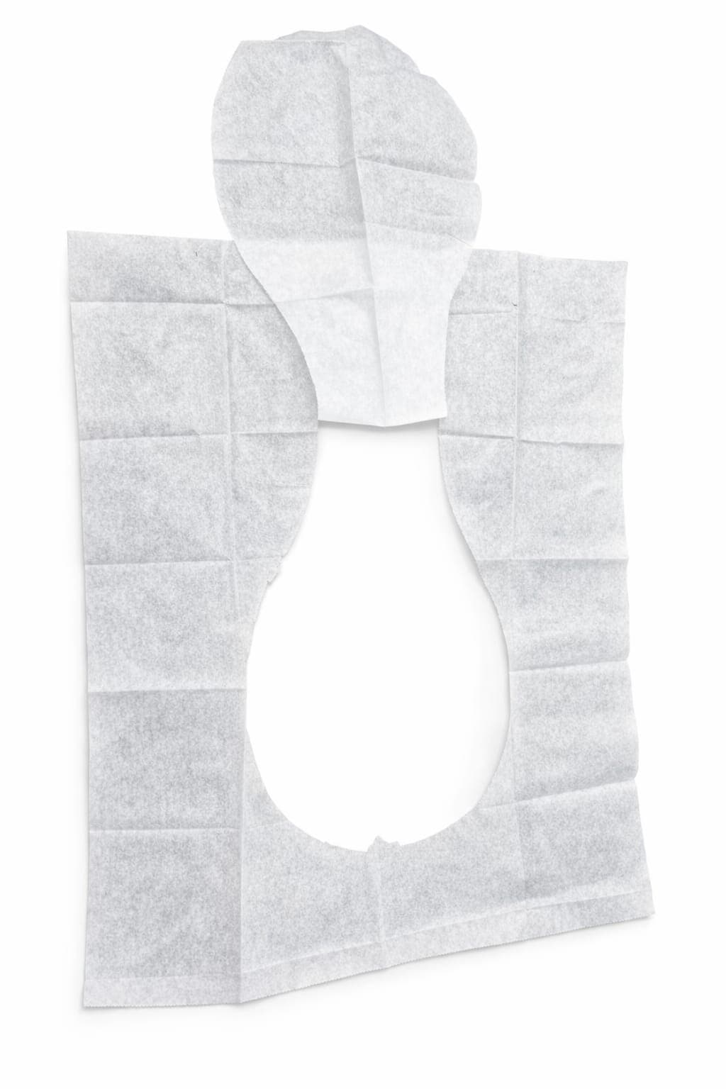 Disposable Toilet Seat Cove - Bedpan Cover, photo 3