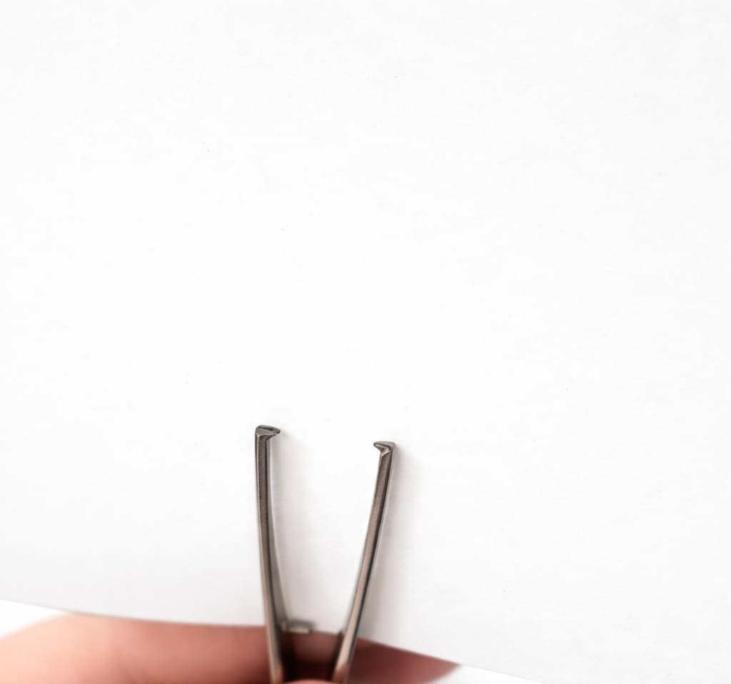 Tissue Forceps, photo 4