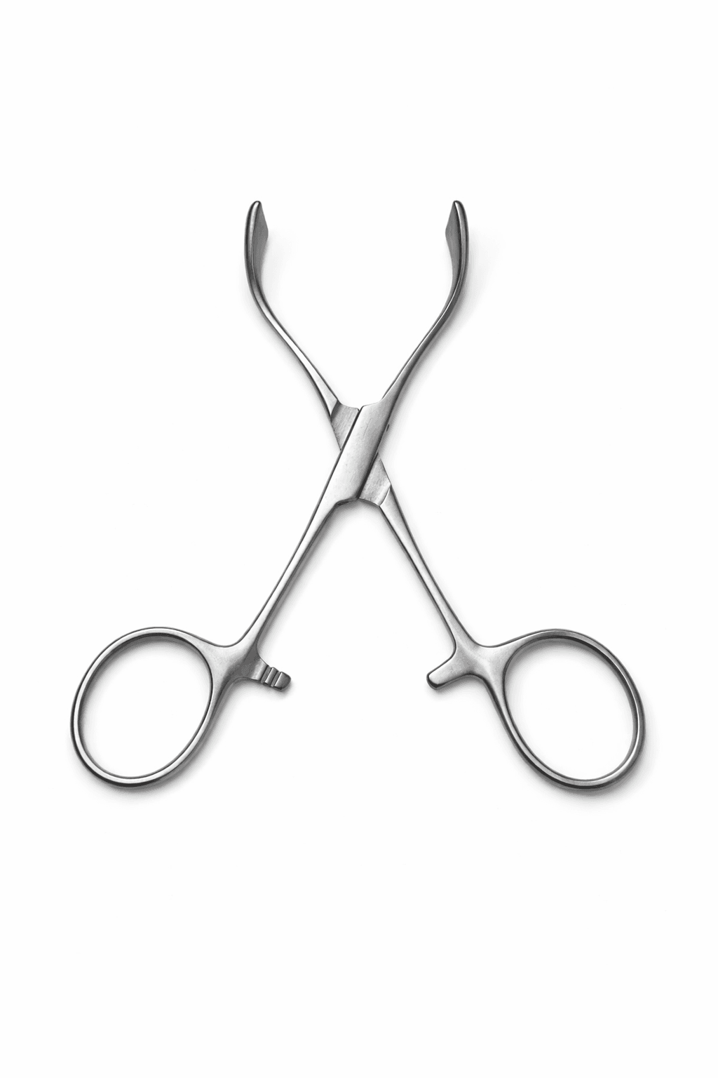 Lorna Towel Clamp 3 1/2", photo 3