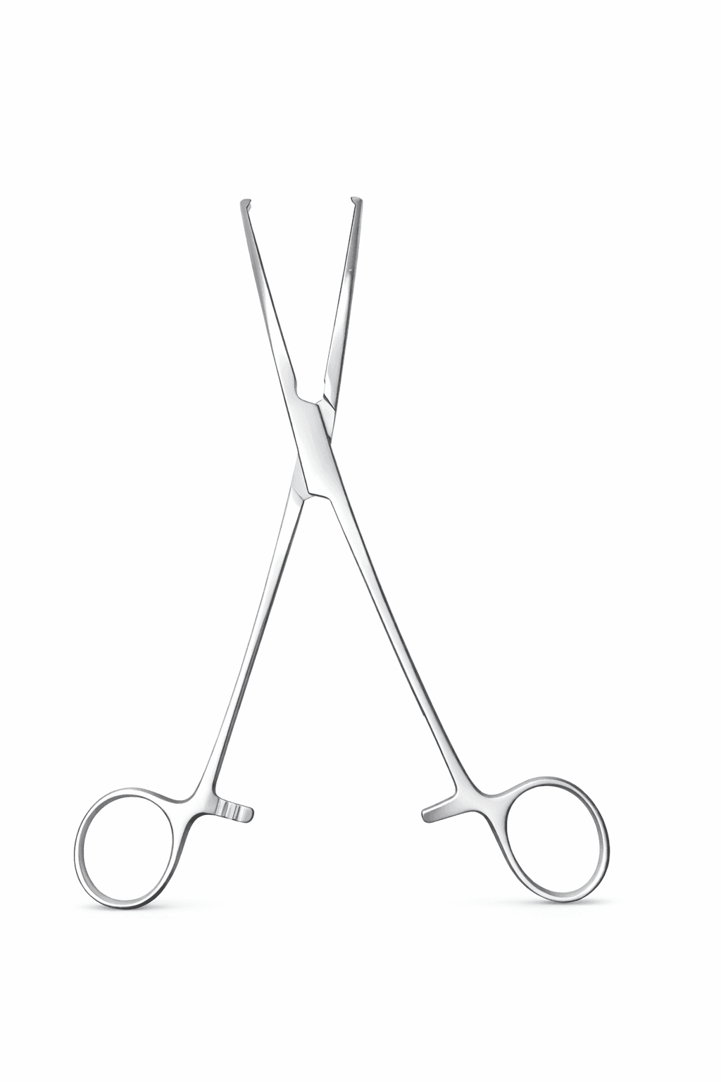 Rochester Ochsner Forceps (Curved), photo 3