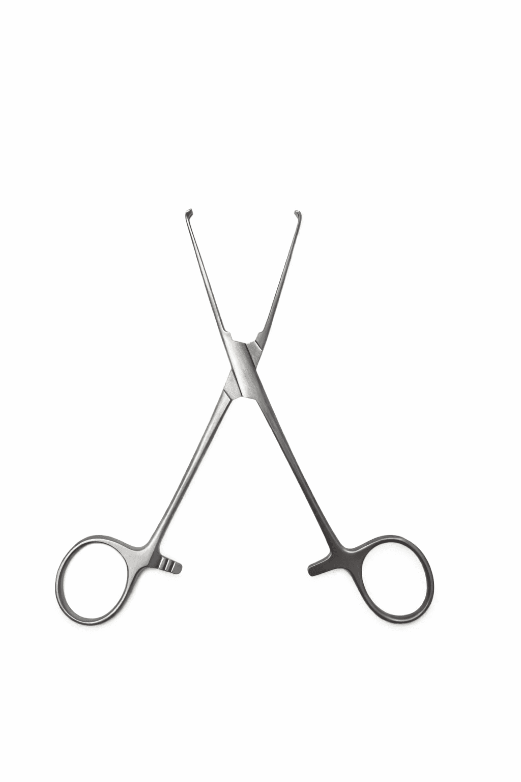 Allis Tissue Forceps, photo 2