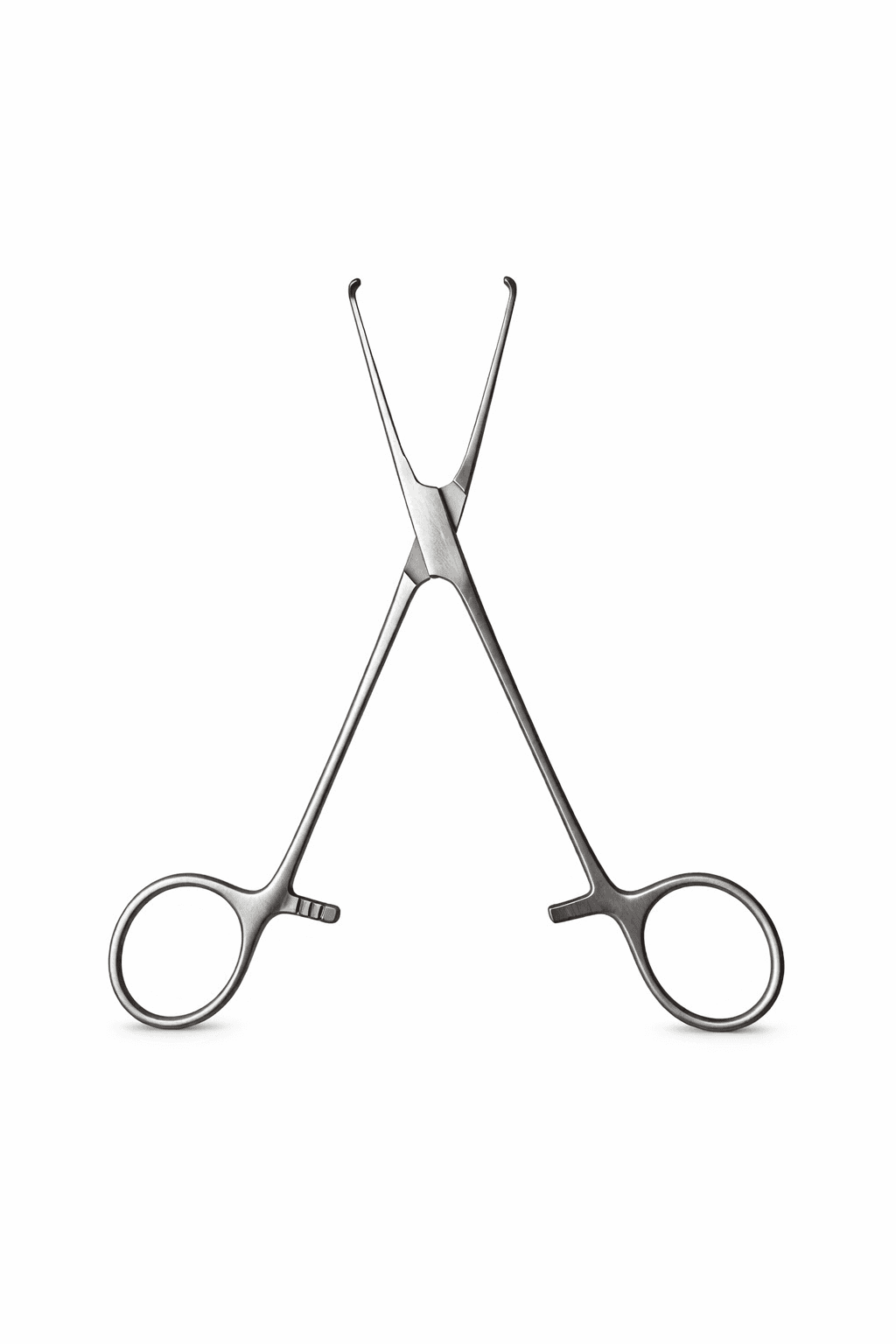 Allis Tissue Forceps, photo 5