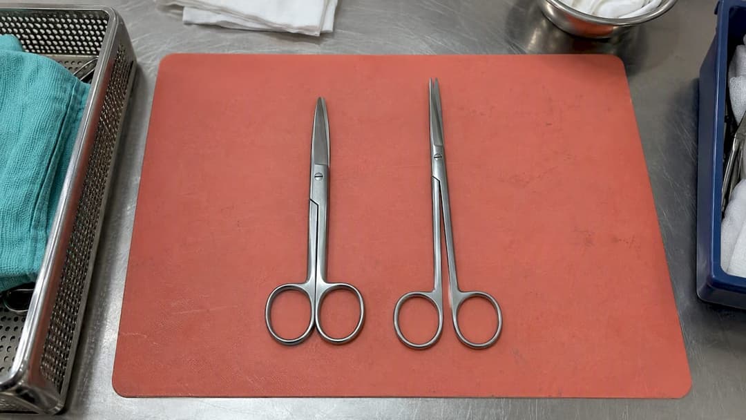 Mayo and Metzenbaum scissors shown side by side