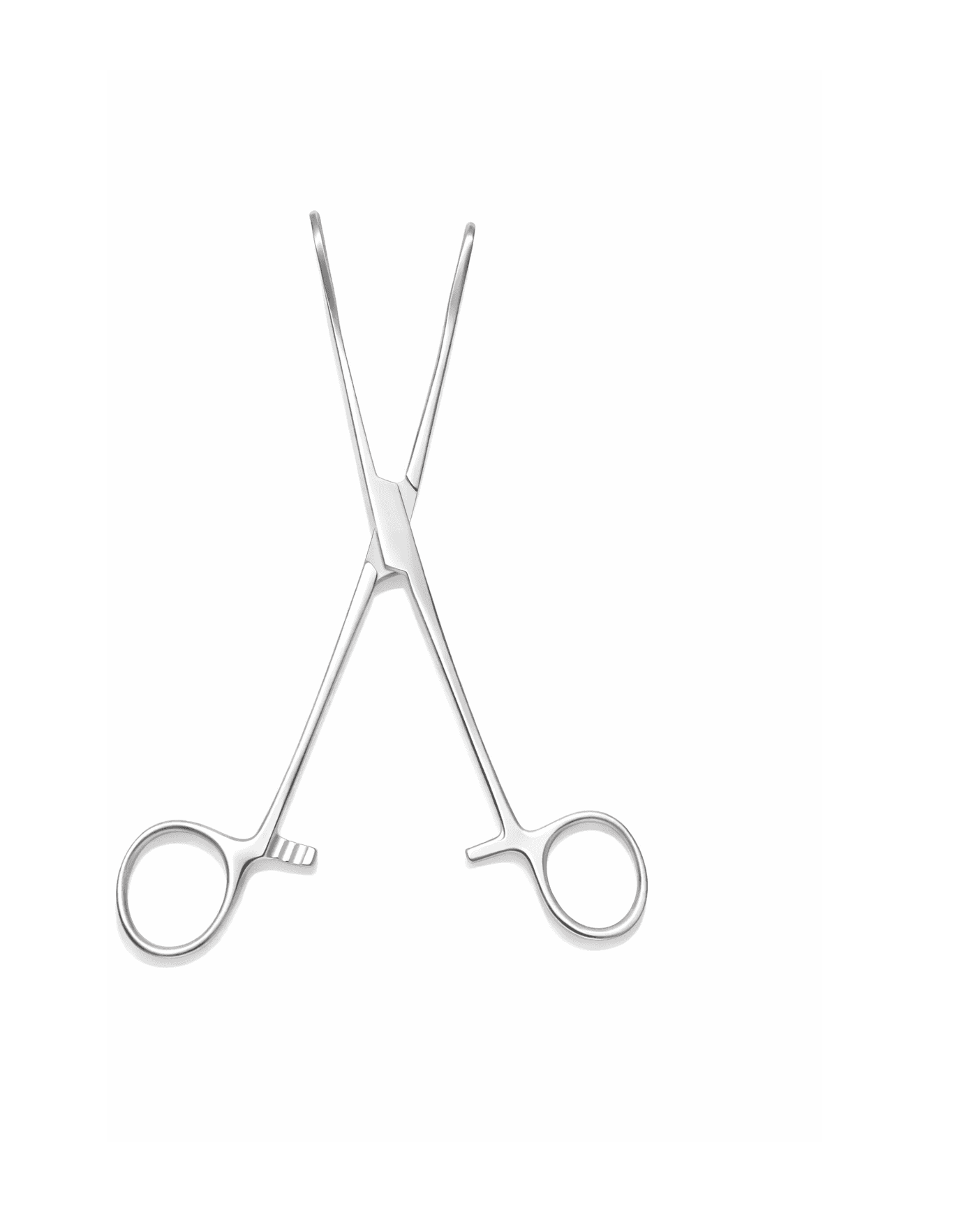 Ballenger Straight Sponge Forceps 7", photo 3