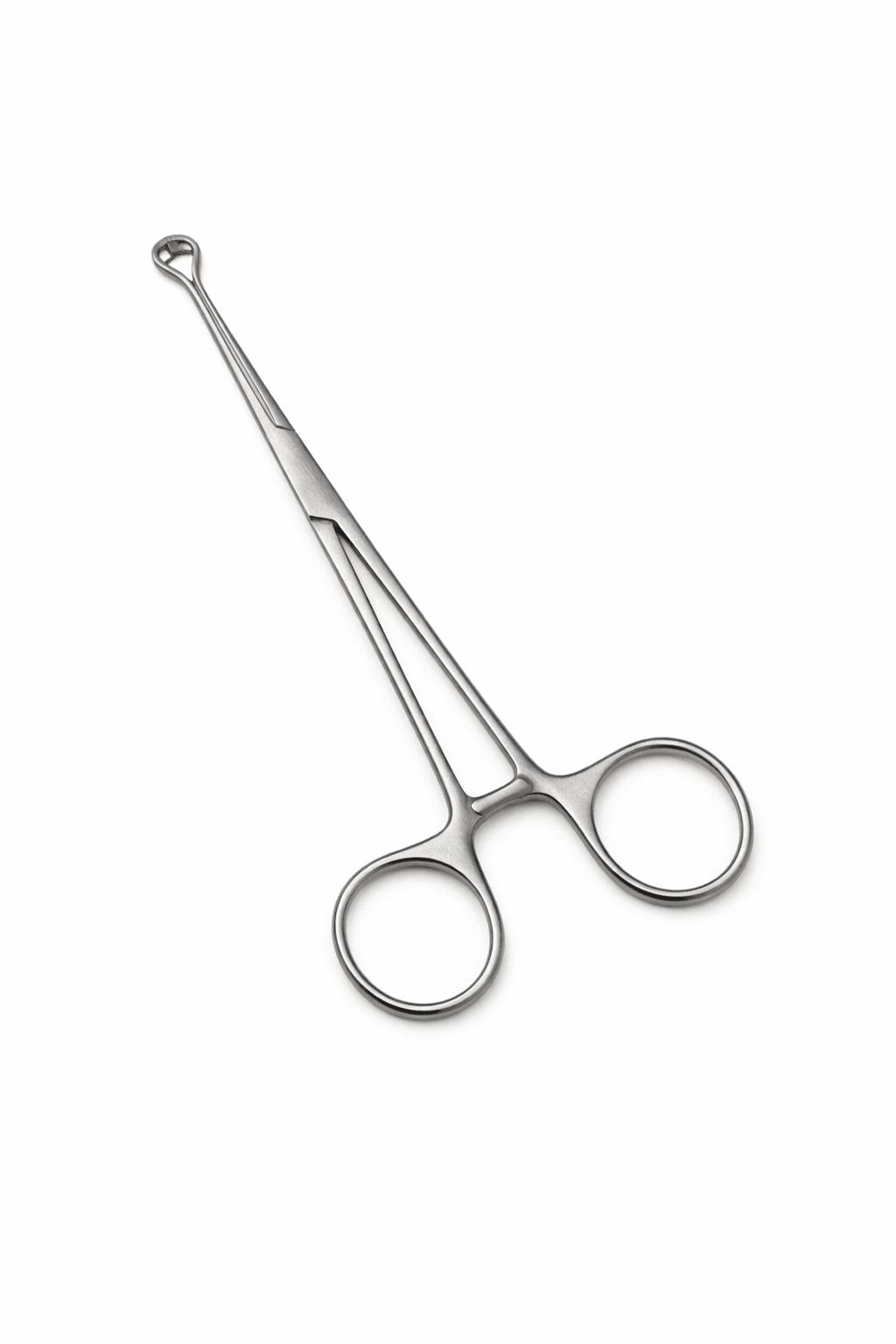 Babcock Tissue Forceps, photo 1