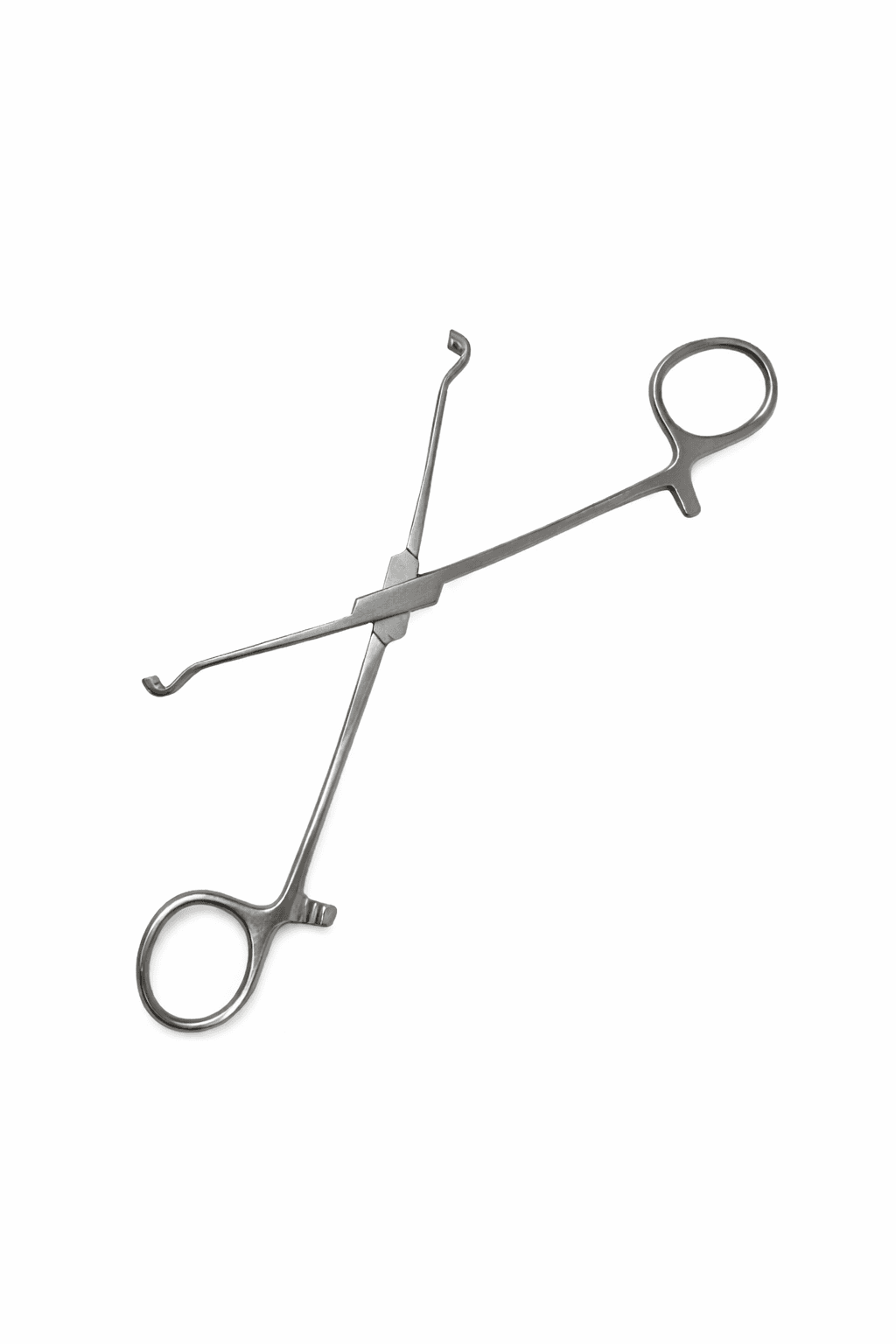 Babcock Tissue Forceps, photo 2