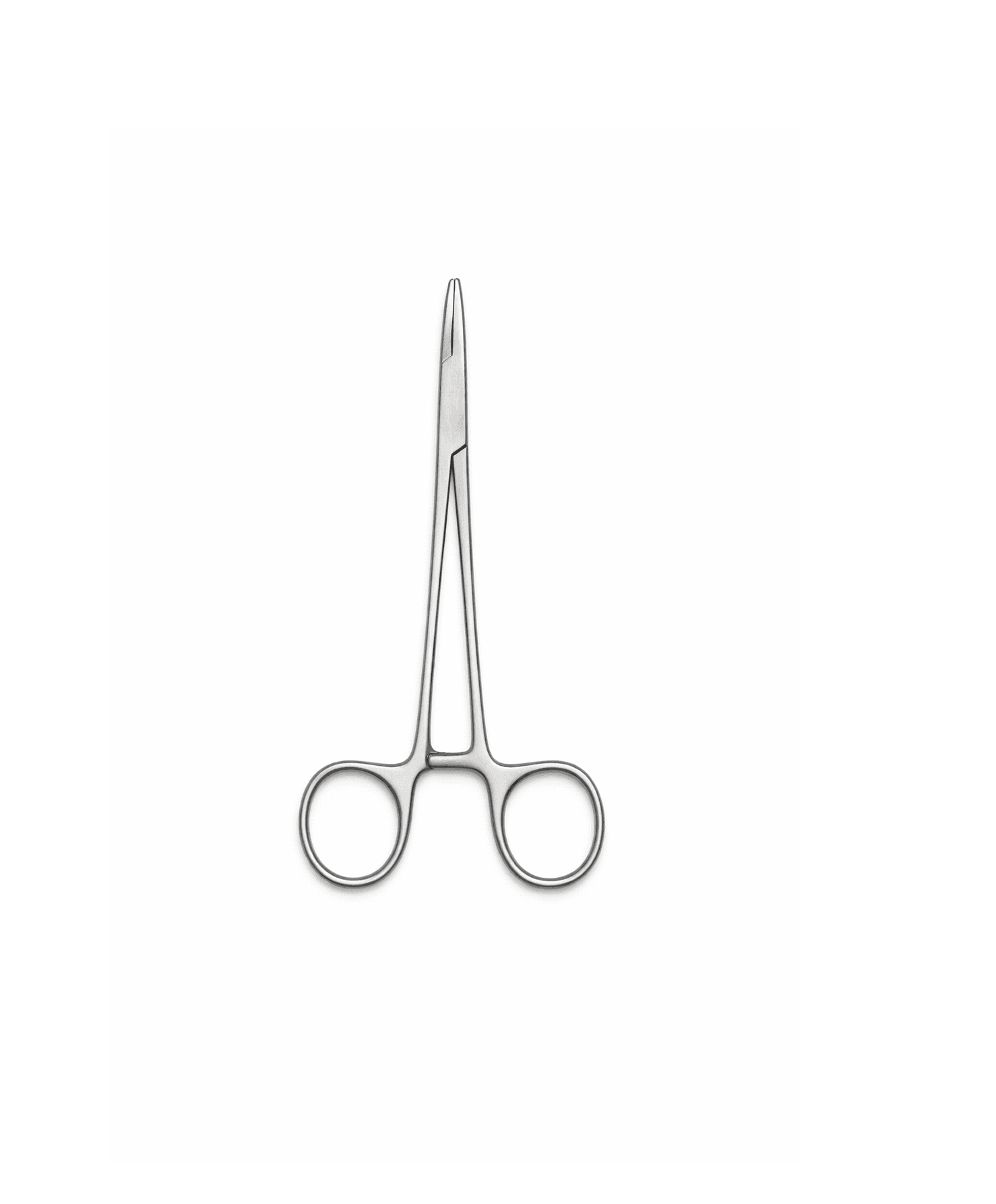 Halsey Stainless Steel Needle Holder, photo 1