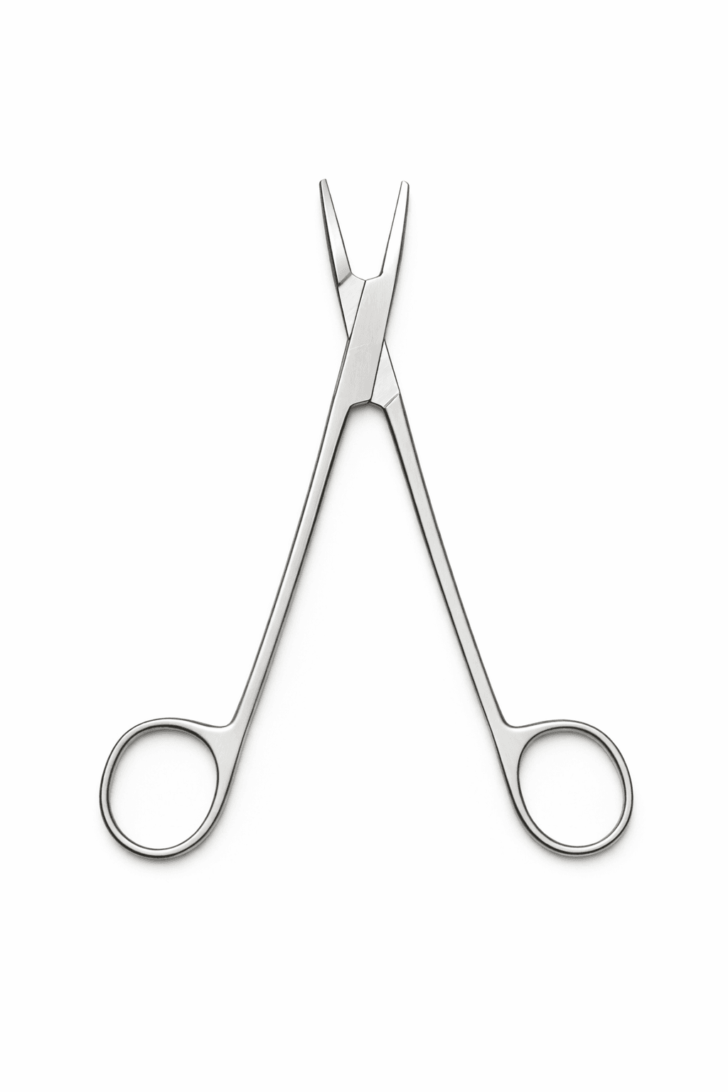 Halsey Stainless Steel Needle Holder, photo 2